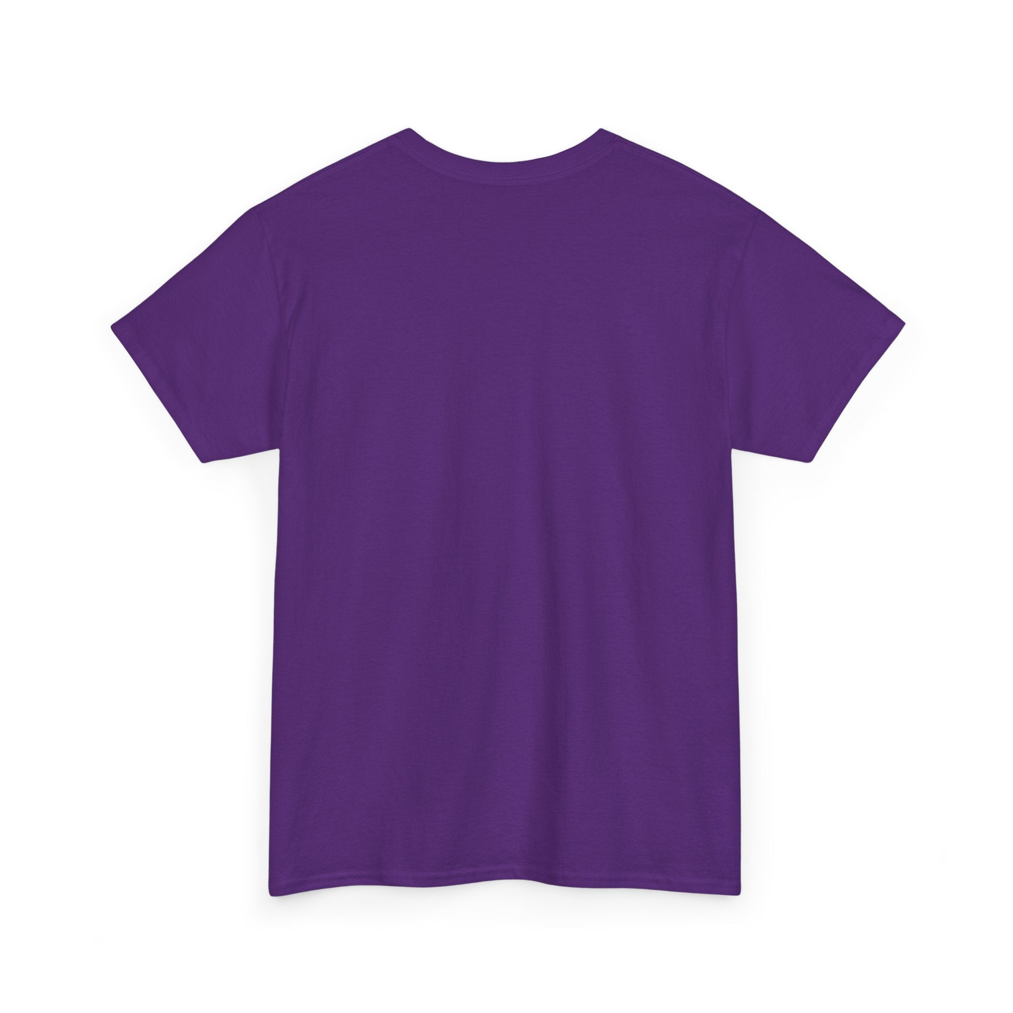 St Pete seal Tee —