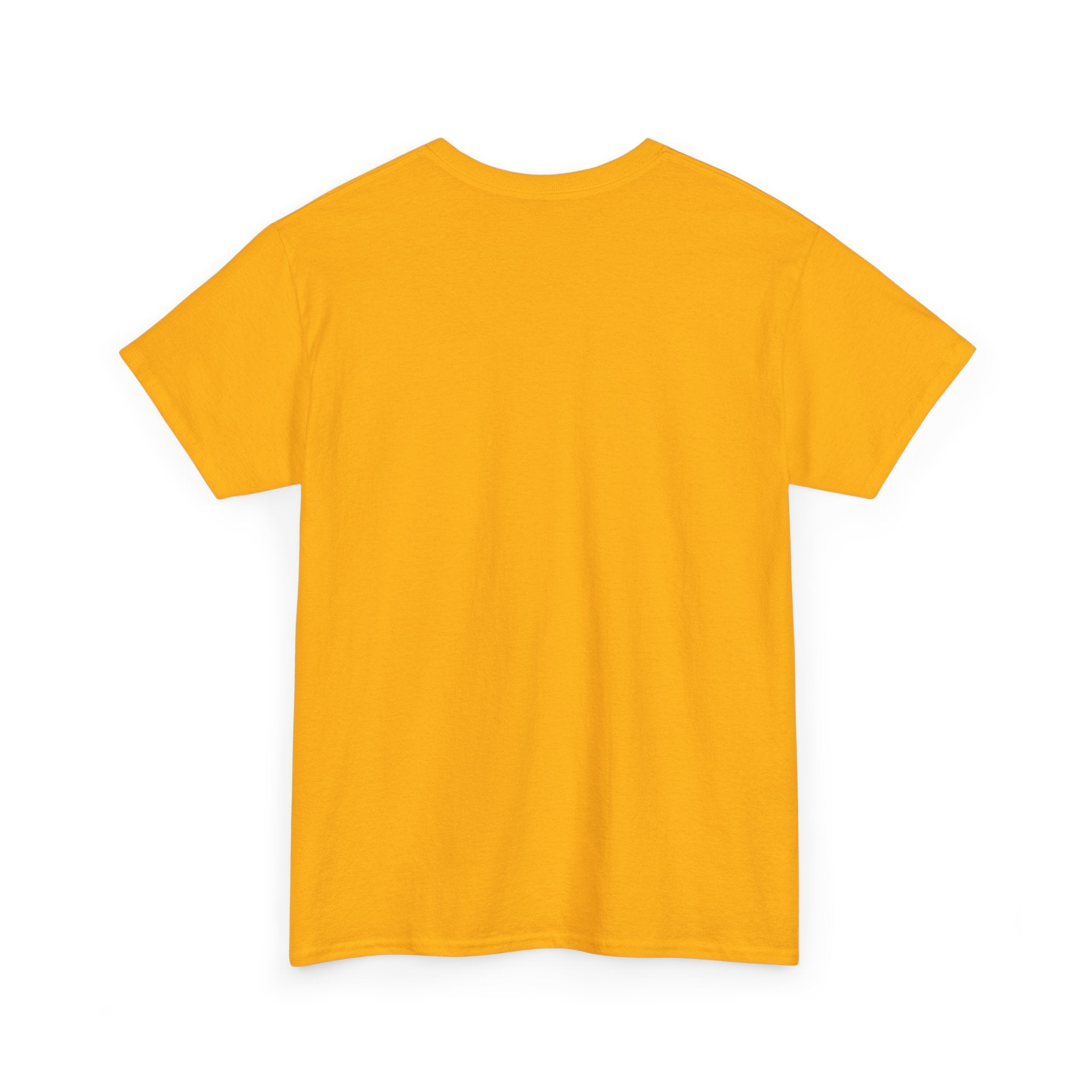 St Pete seal Tee —